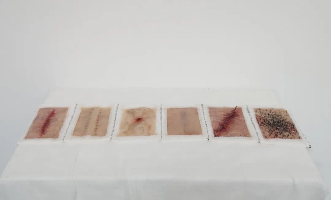 Studies for the Second Womb
